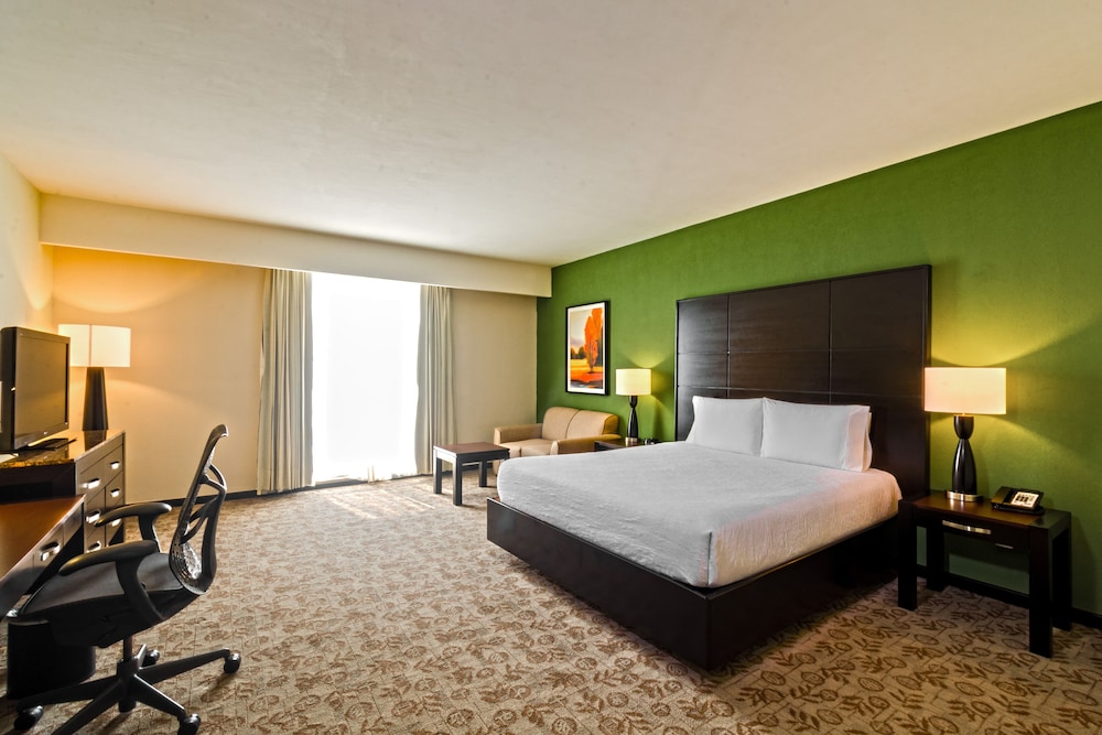 Hilton Garden Inn Tuxtla Gutierrez 19/59