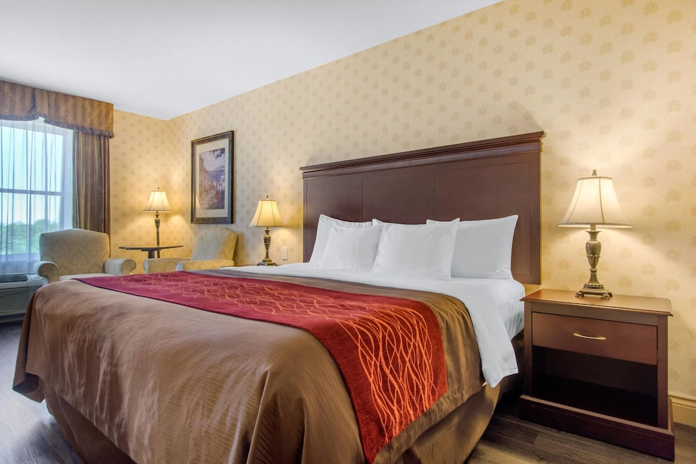 Comfort Inn & Suites Levis 6/36