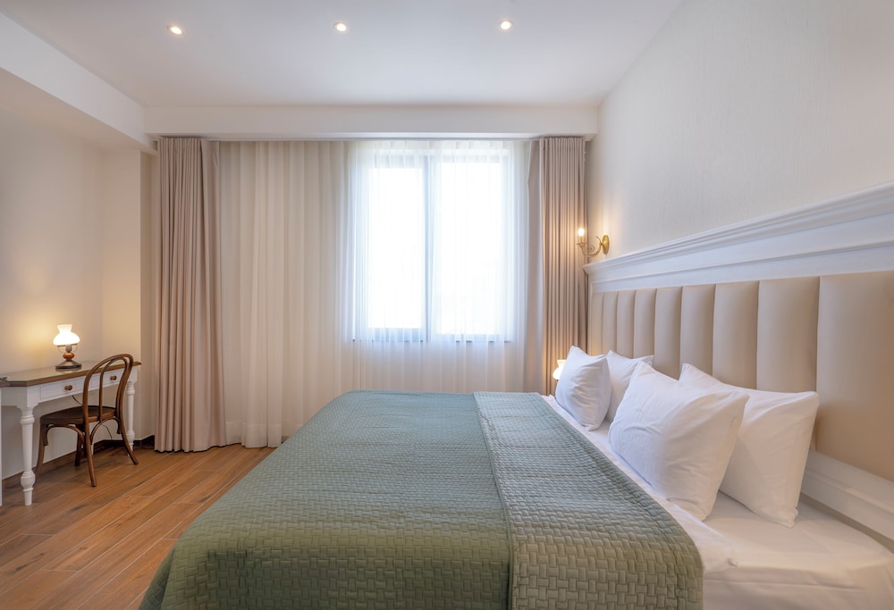 Iris Hotel Tbilisi 16/60