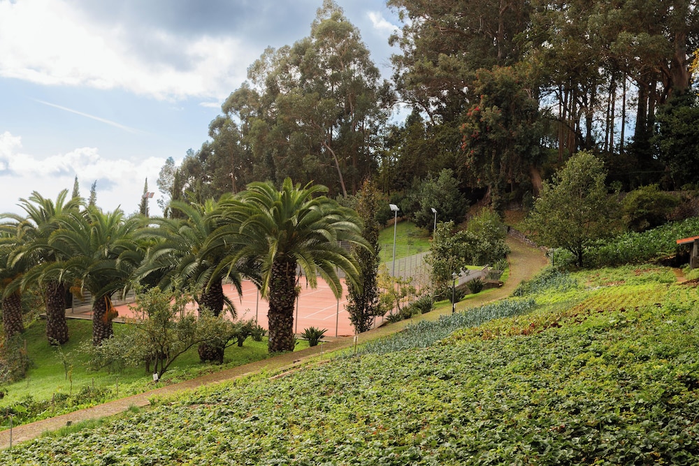 surroundings
