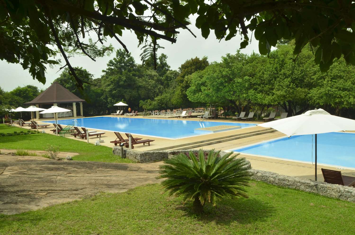 The Paradise Dambulla 49/55