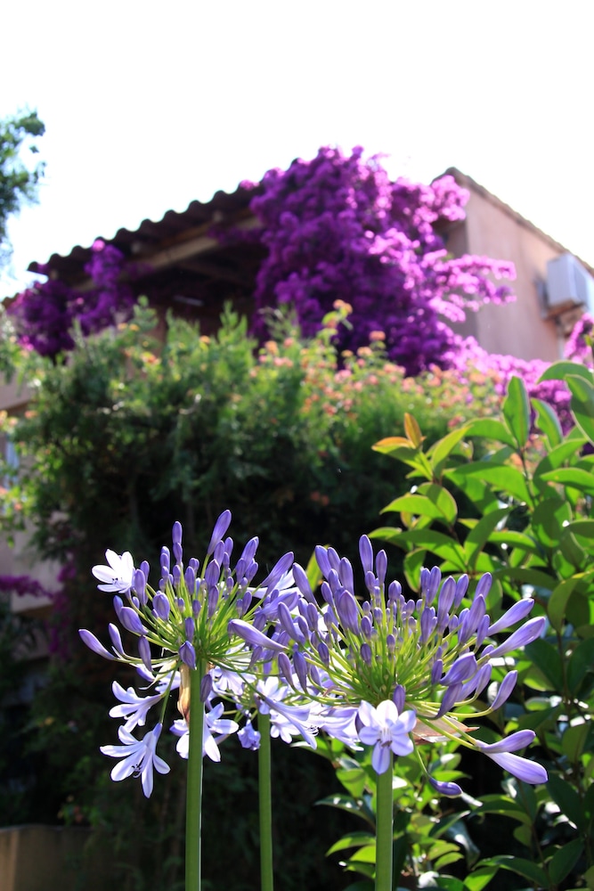 Residence Benista 33/42