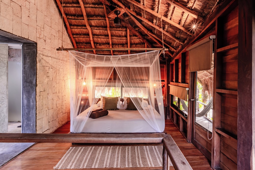 Vida Silvestre Tulum 14/50