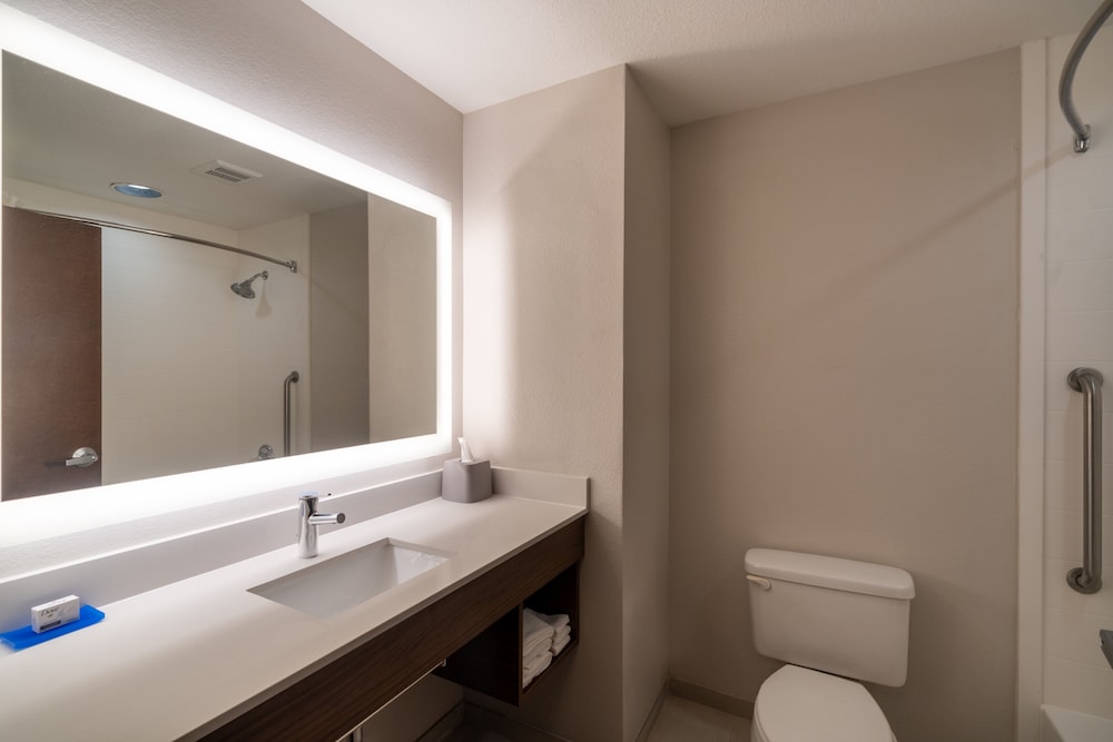 Holiday Inn Express Hotel Suites Talladega 9/34