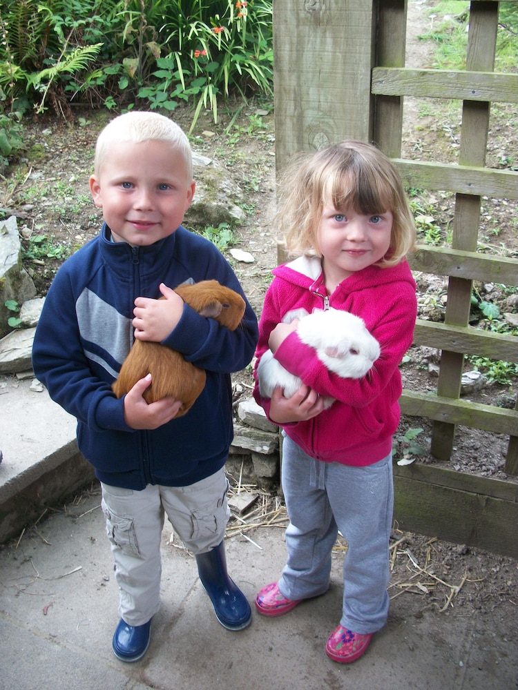 Polean Farm Cottages 16/50