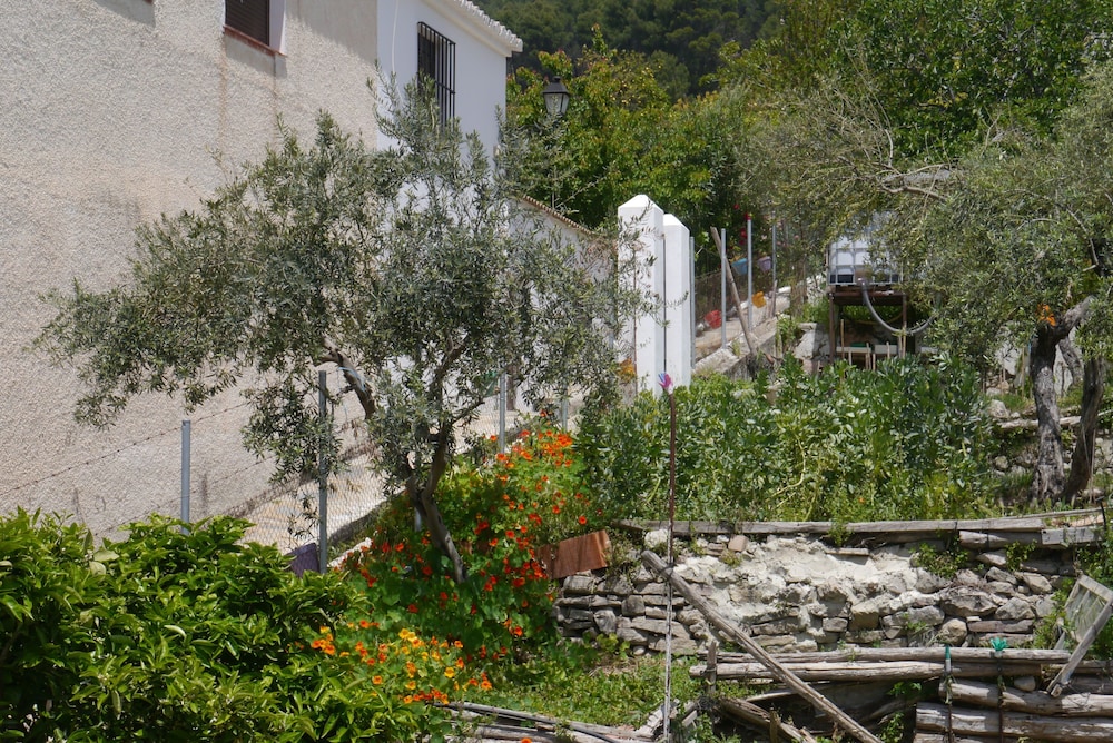 El Molino Del Abuelo 22/29