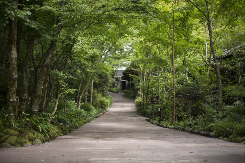 Kurokawa Onsen Okunoyu 44/50