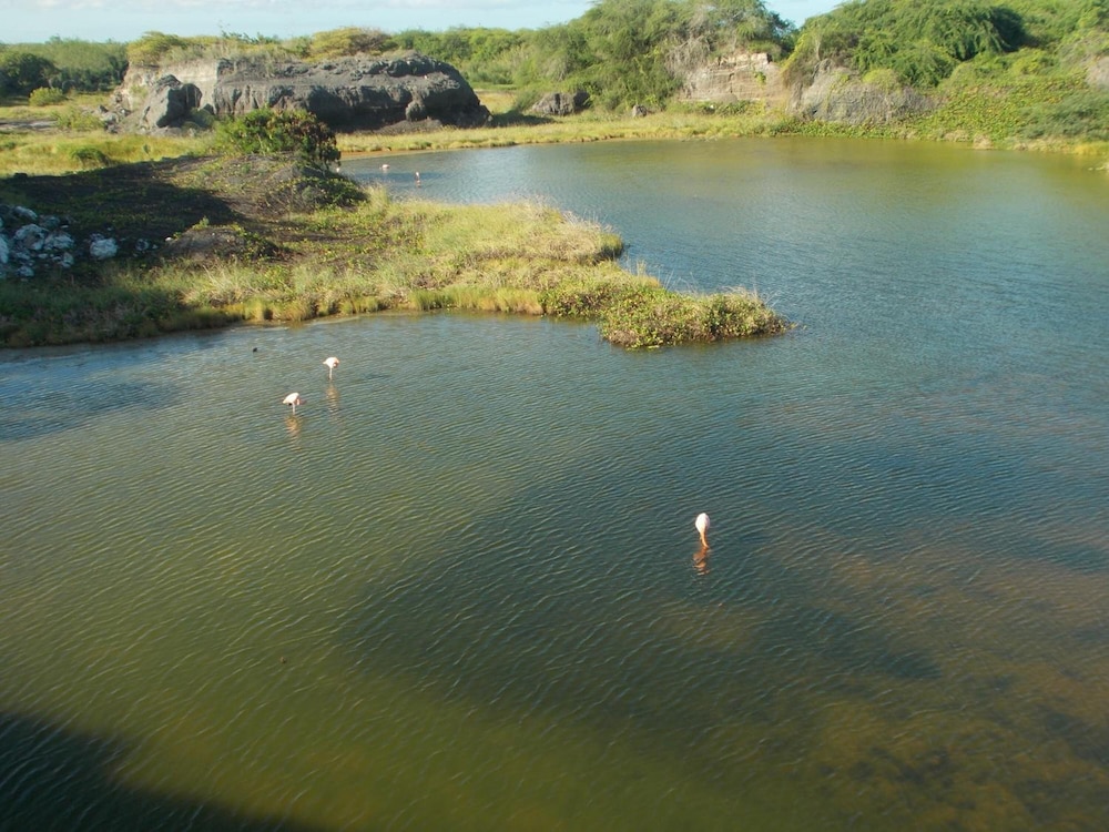 Hotel El Paraiso de Isabela 35/50