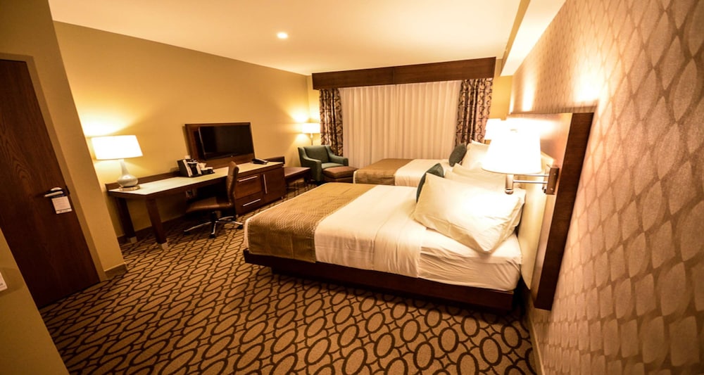 Best Western Plus St. John s Airport Hotel and Suites 8/36