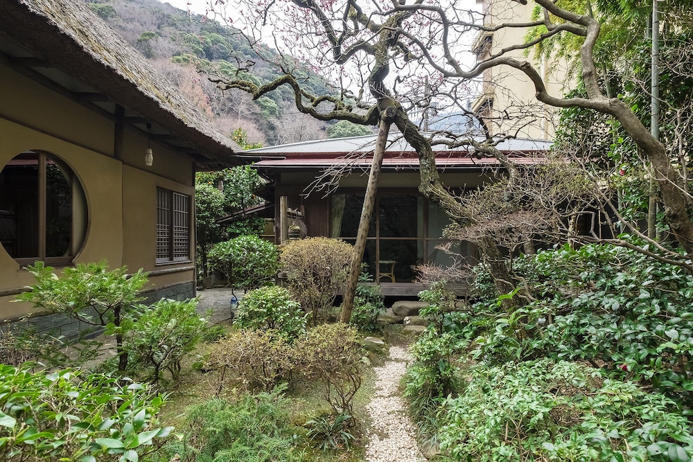 Yamagaso 45/50