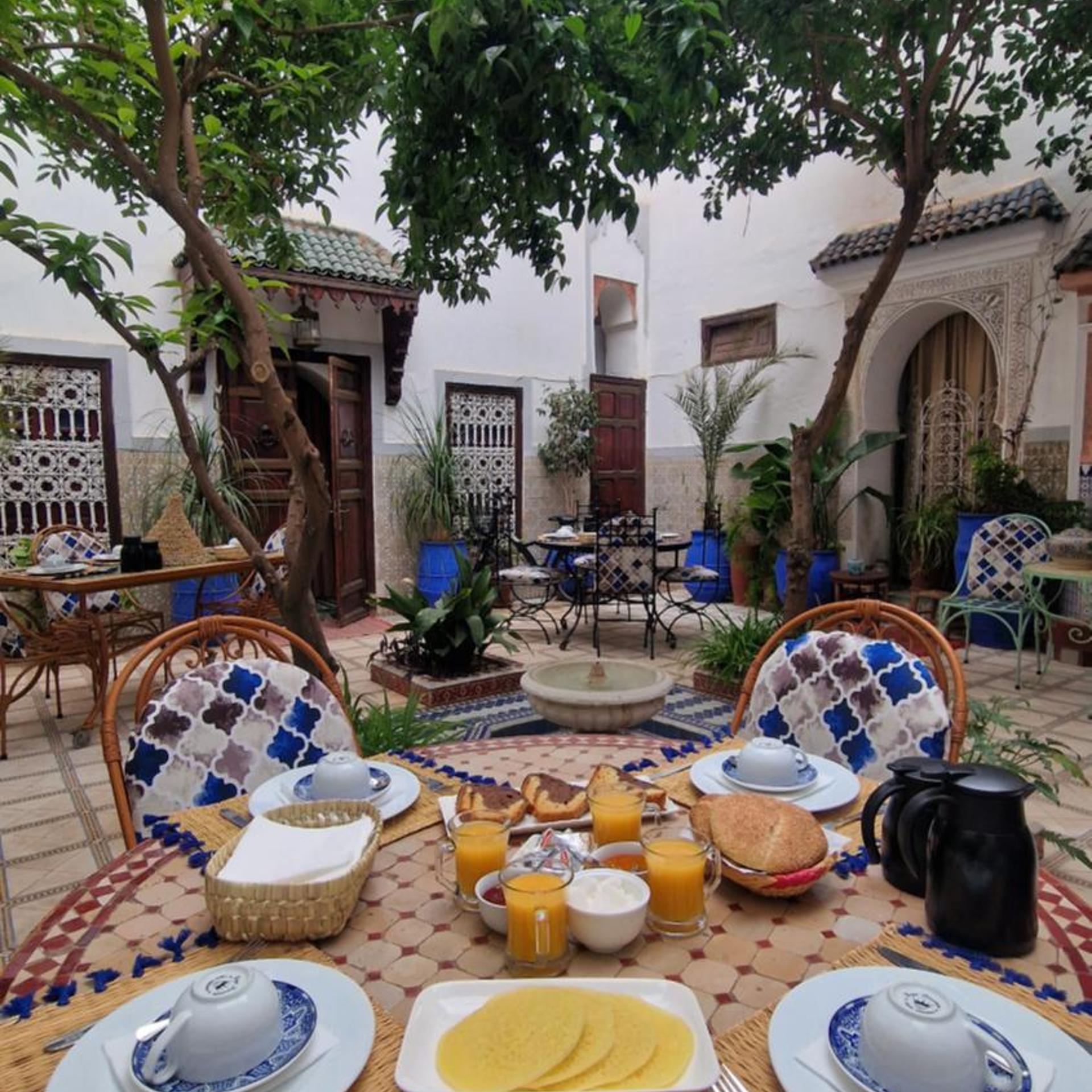 RIAD DALIA 38/43