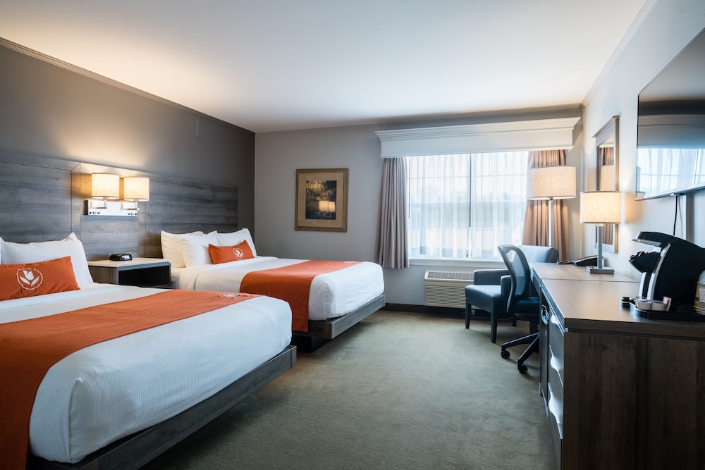 Amsterdam Inn & Suites Moncton 21/63