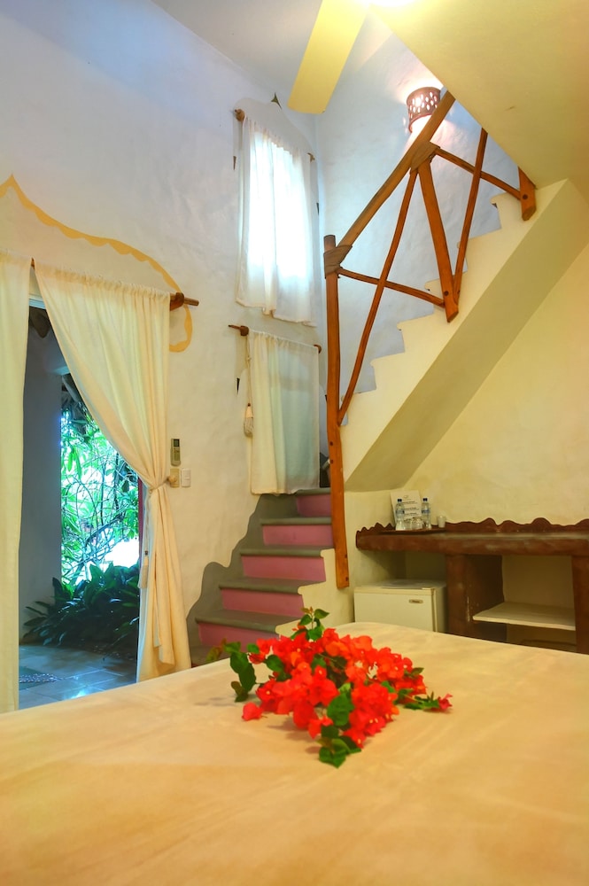 Hotel La Tortuga 30/50