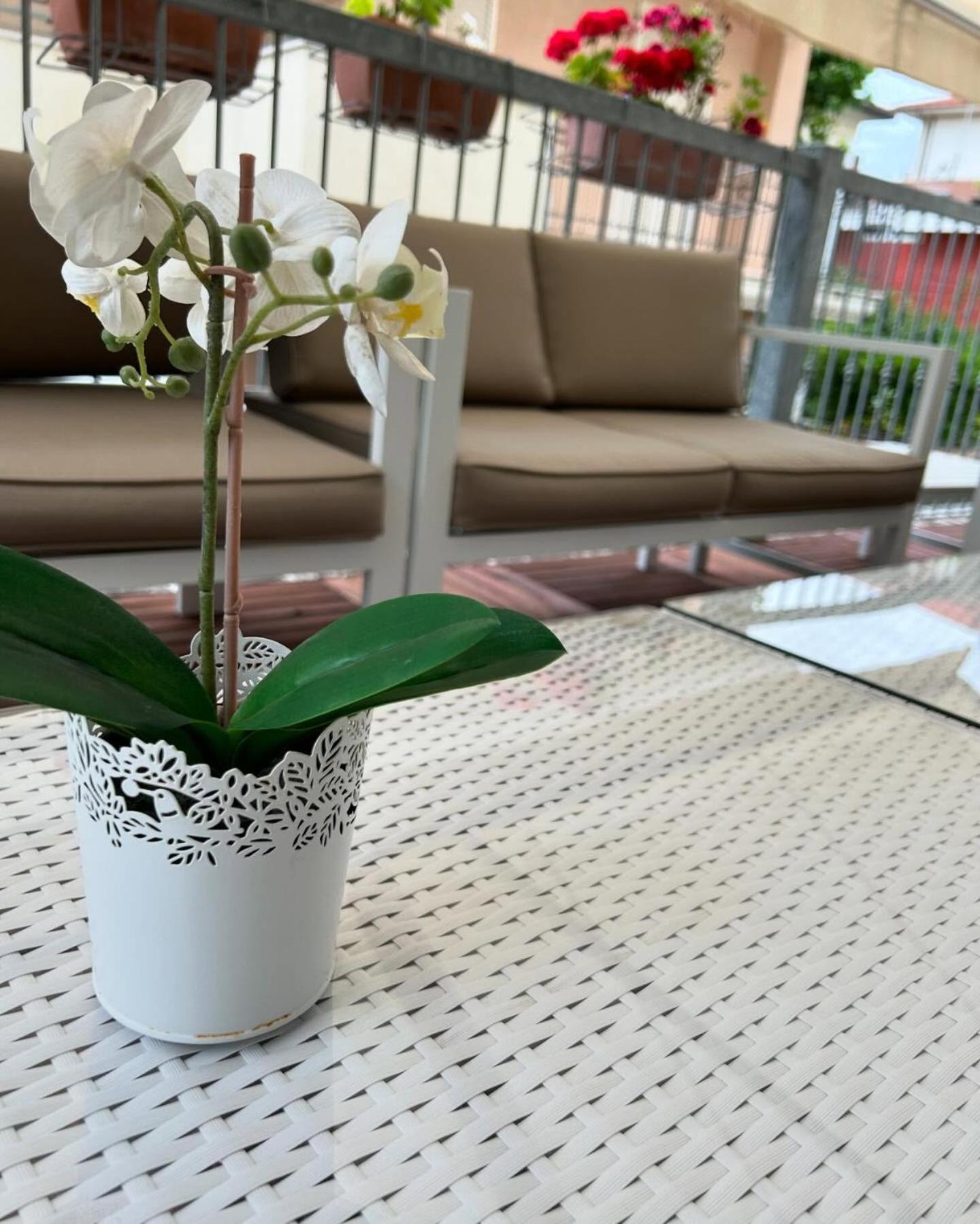 Hotel Rose Nuove 16/27