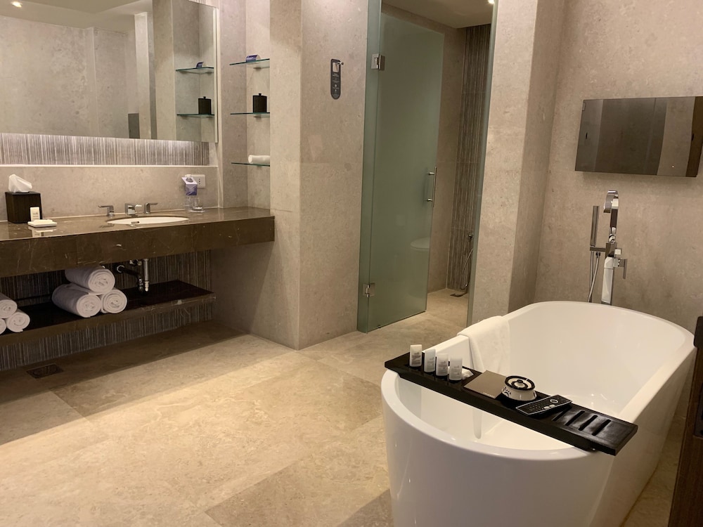 Hyatt Regency Ahmedabad 33/80