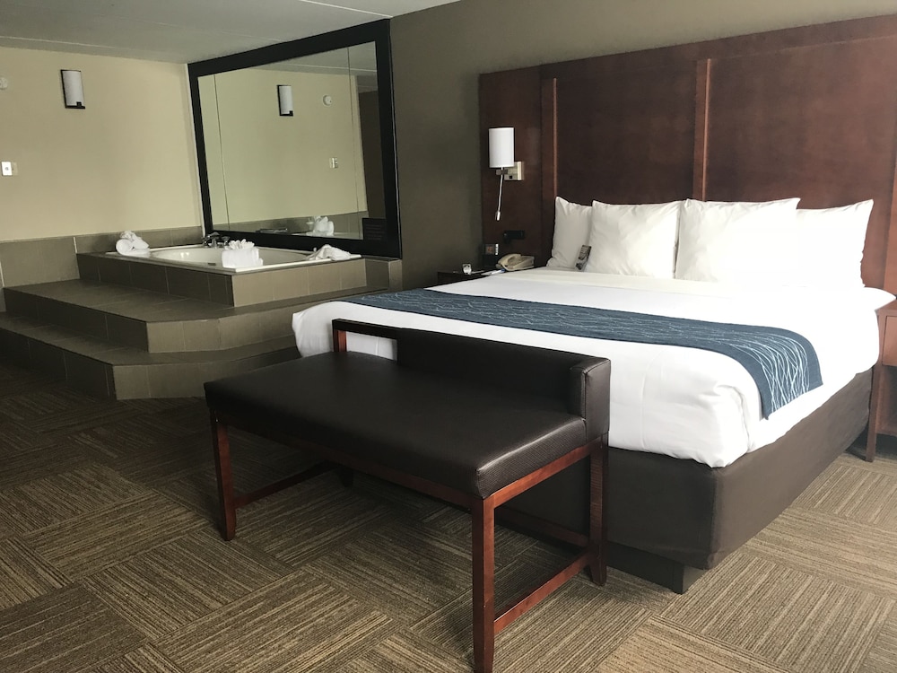 Comfort Inn Edgewater on Hudson River 15/37