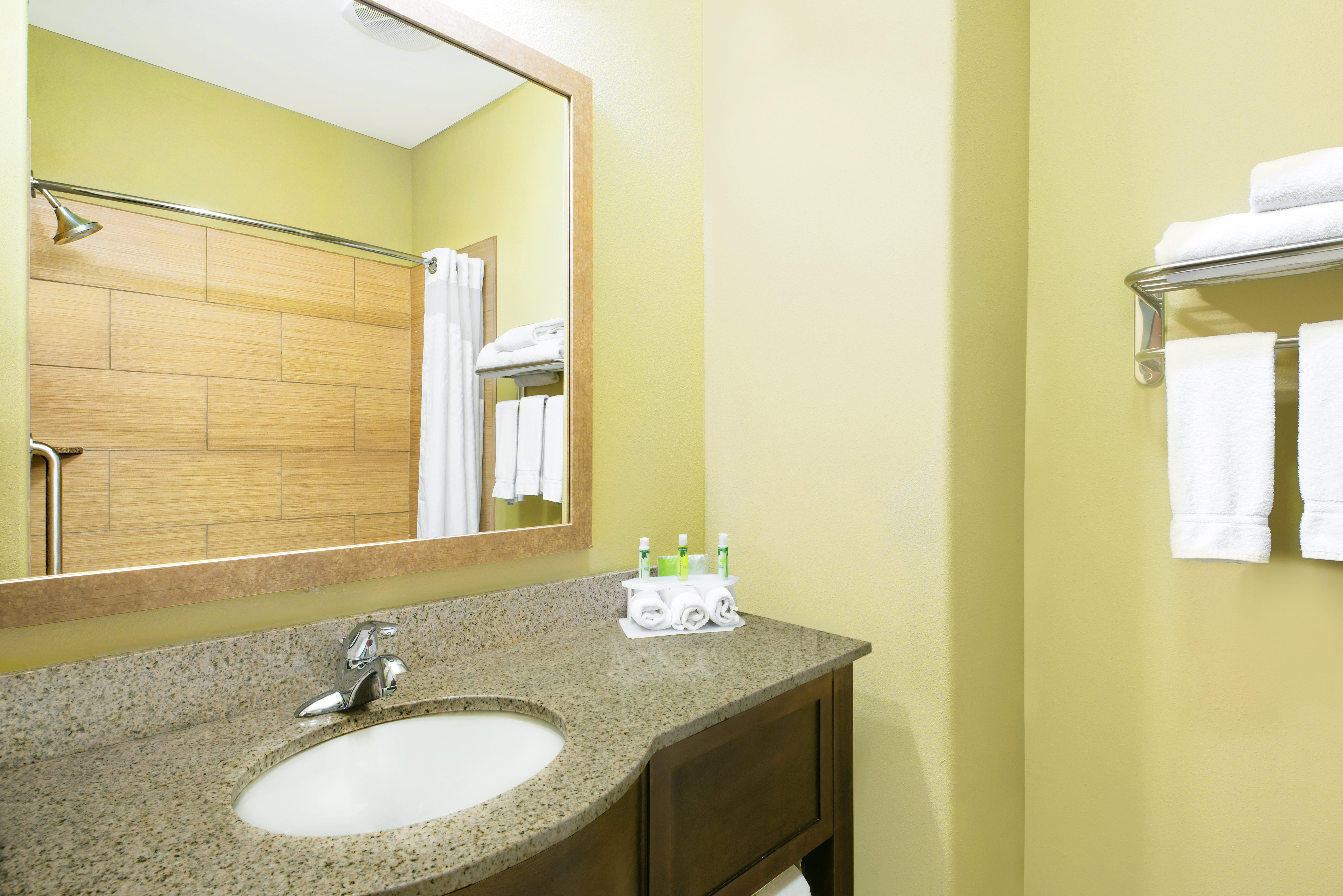Holiday Inn Express Hotel And Suites Monahans I 20 49/49
