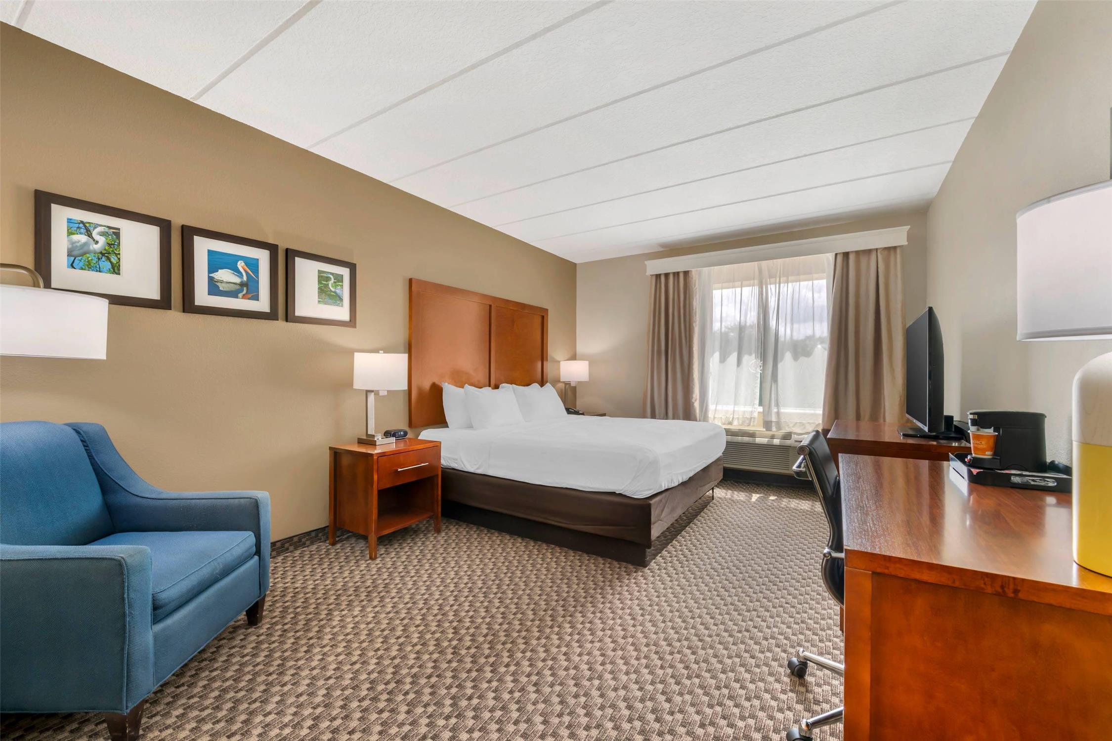 Room, King Bed, Accessible