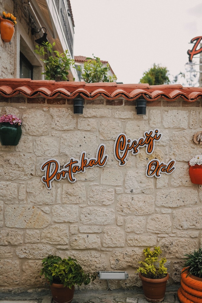 Portakal Cicegi Alacati 6/50