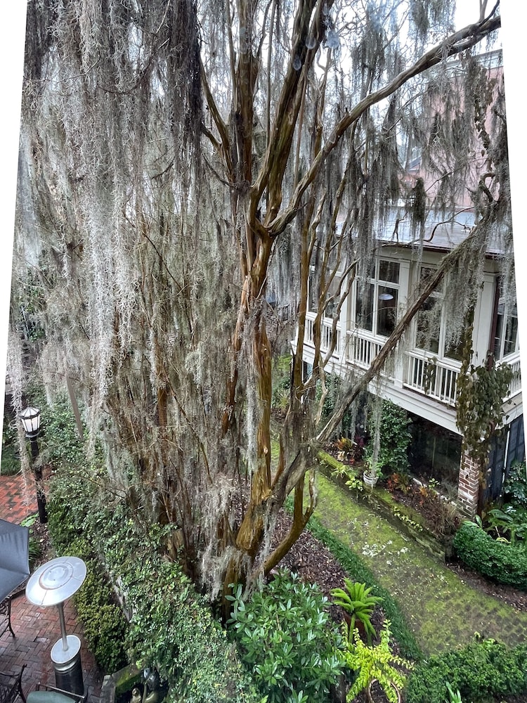 Eliza Thompson House 42/50