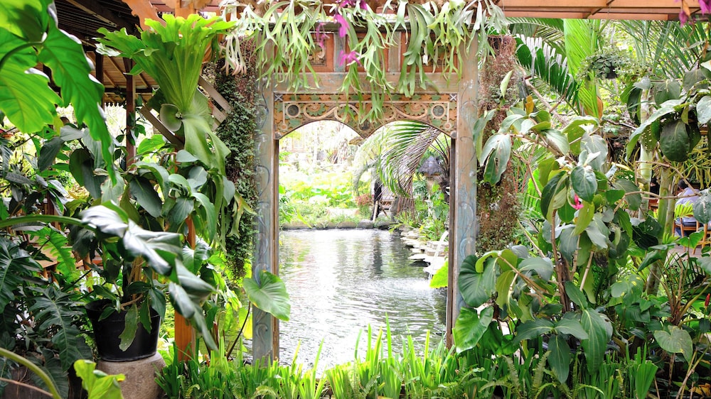 Ubud Art Resort (ex Uma D Mas Villa) 39/48