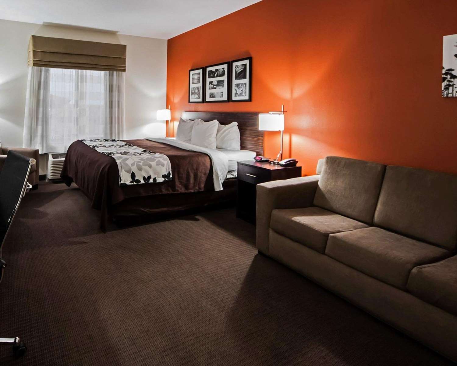Suite, King Bed