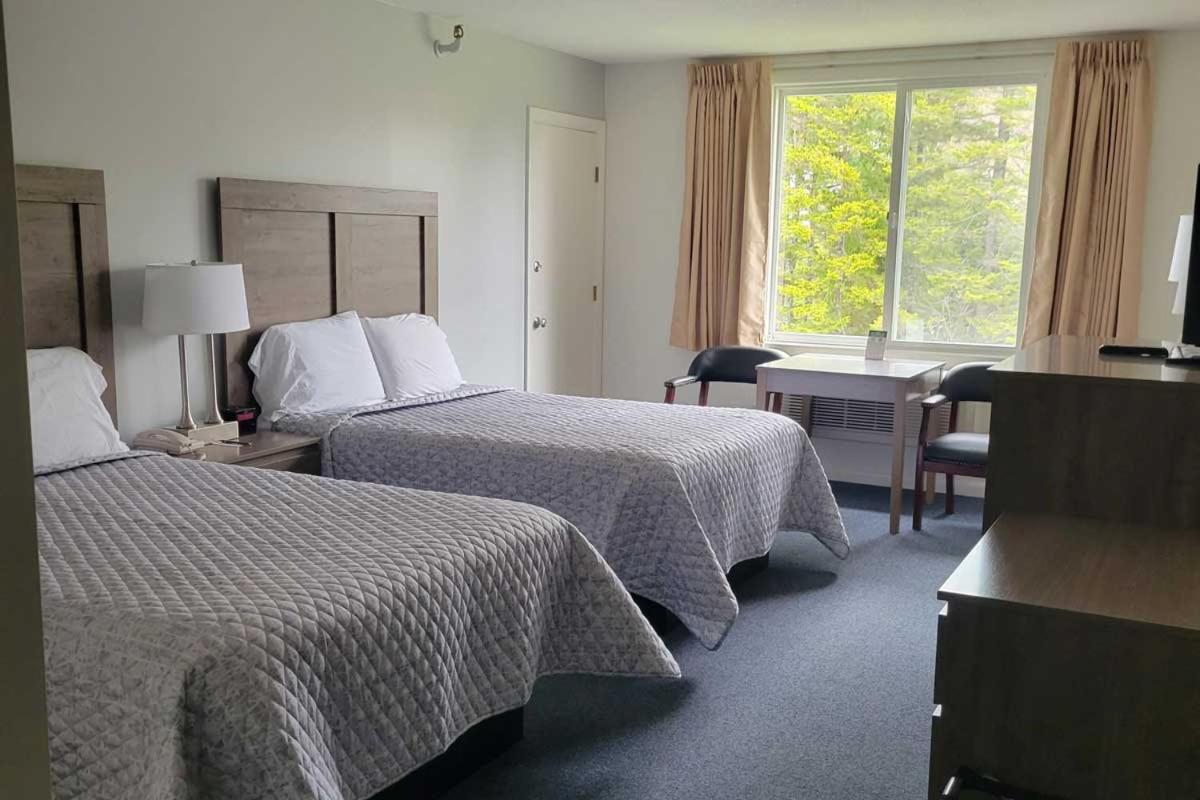 Standard, Double Bed, Forest View