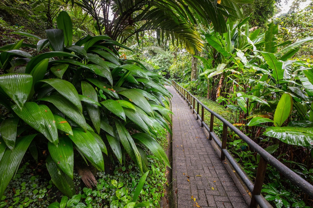 Lost Iguana Resort and Spa 67/71