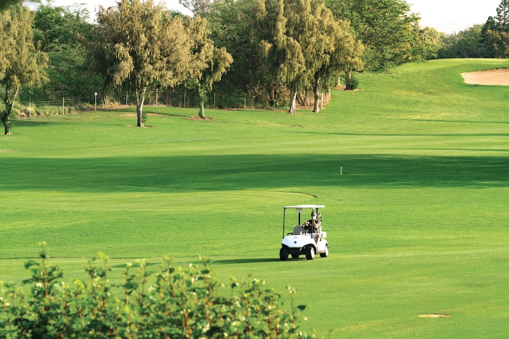 Paniolo Greens at Waikoloa Village 38/79