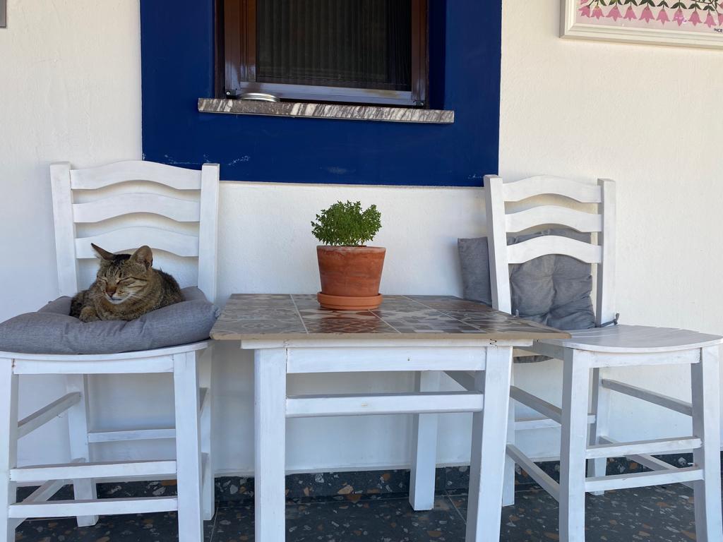 Pelin-Inn Ada Evi 17/26
