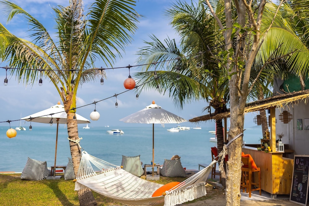 The Culture Samui 38/50