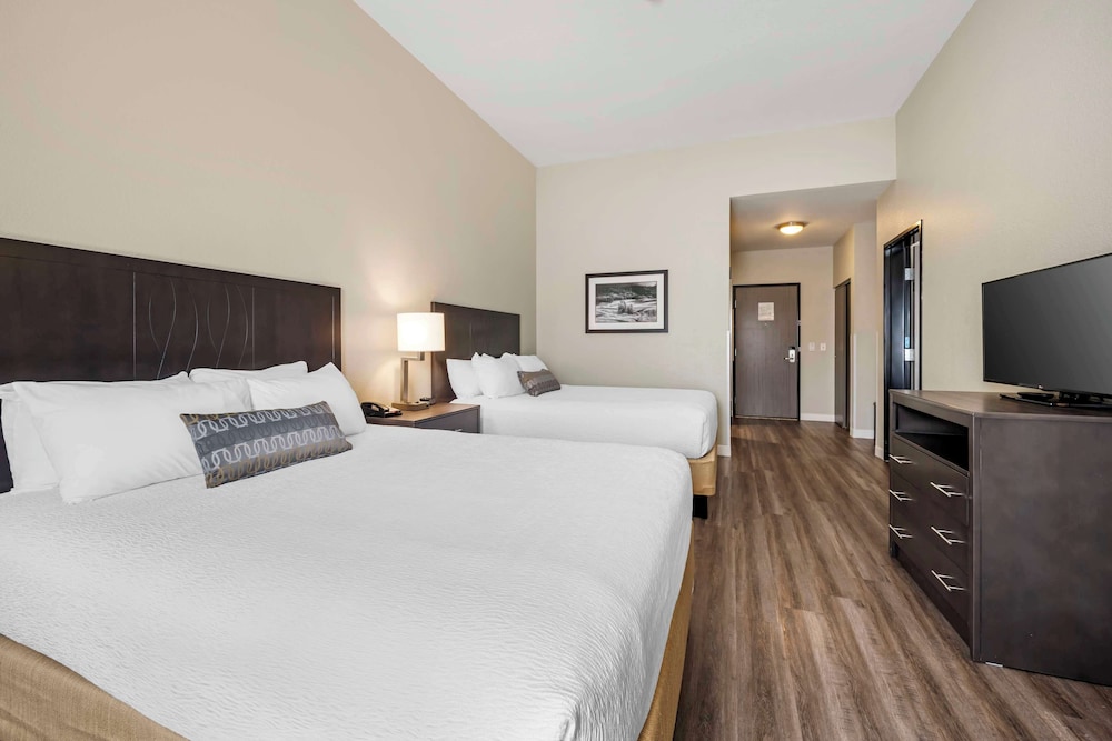 Room, 2 Queen Beds, Pet Friendly, Kitchen