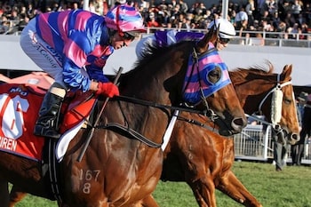 Quest Ascot 16/25