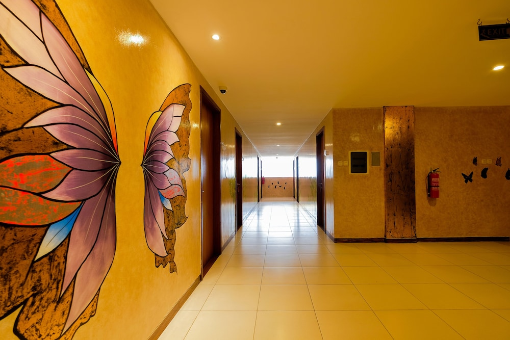Papillon Echobeach 26/50