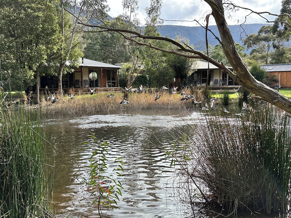 GRAMPIANS CHALETS 37/50