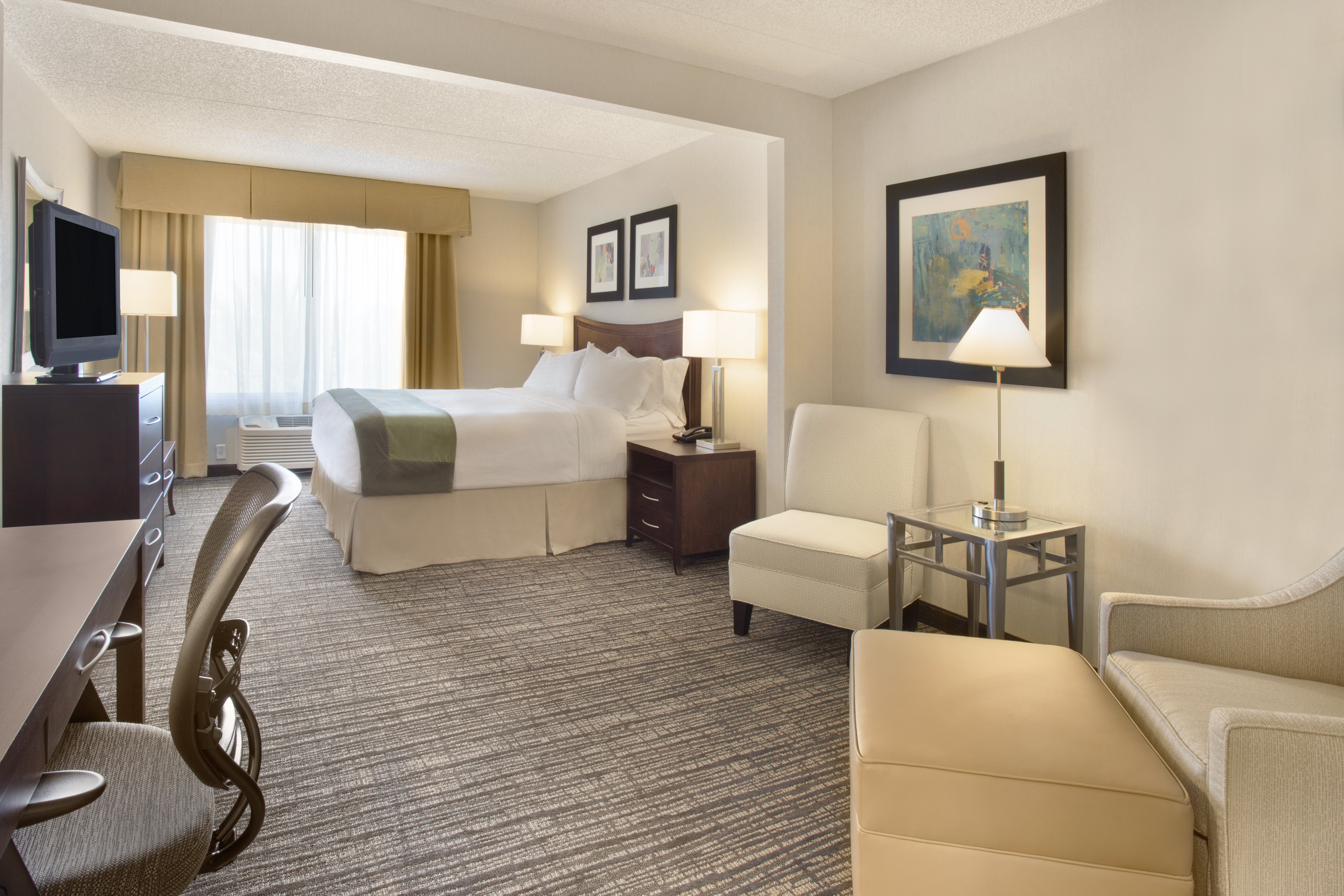 Holiday Inn And Suites Scottsdale North Airpark Ex Wingate By Wyndham Scottsdale 18/50