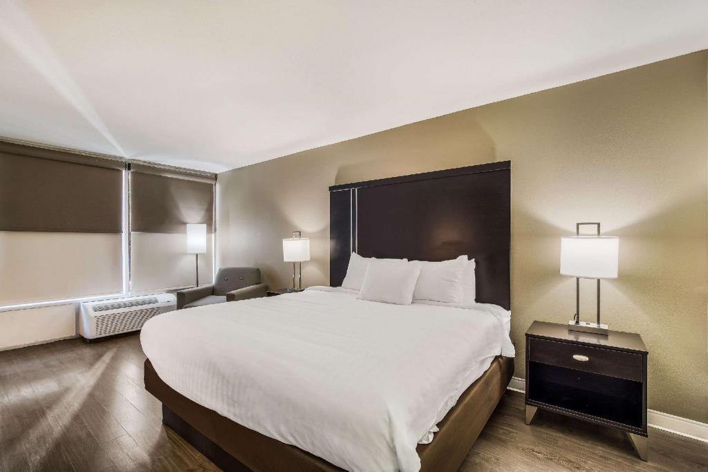 Upgrade, Suite, King Bed