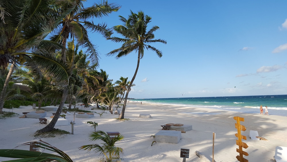 The Beach Tulum 43/47