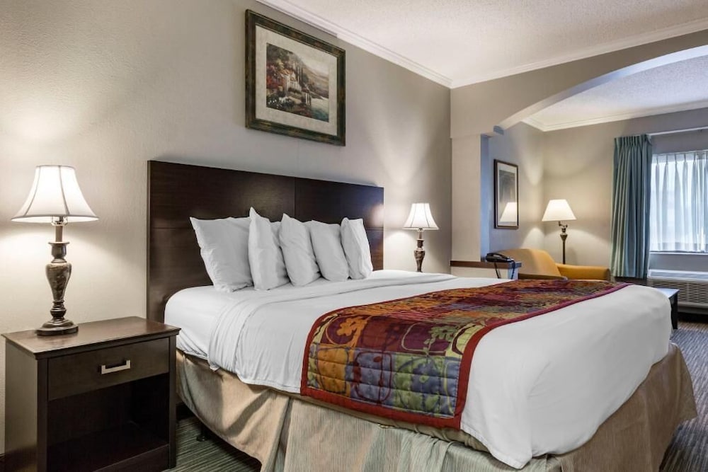 阿伯套房医学域酒店(The Bradford Hotel, Ascend Hotel Collection) 图片2