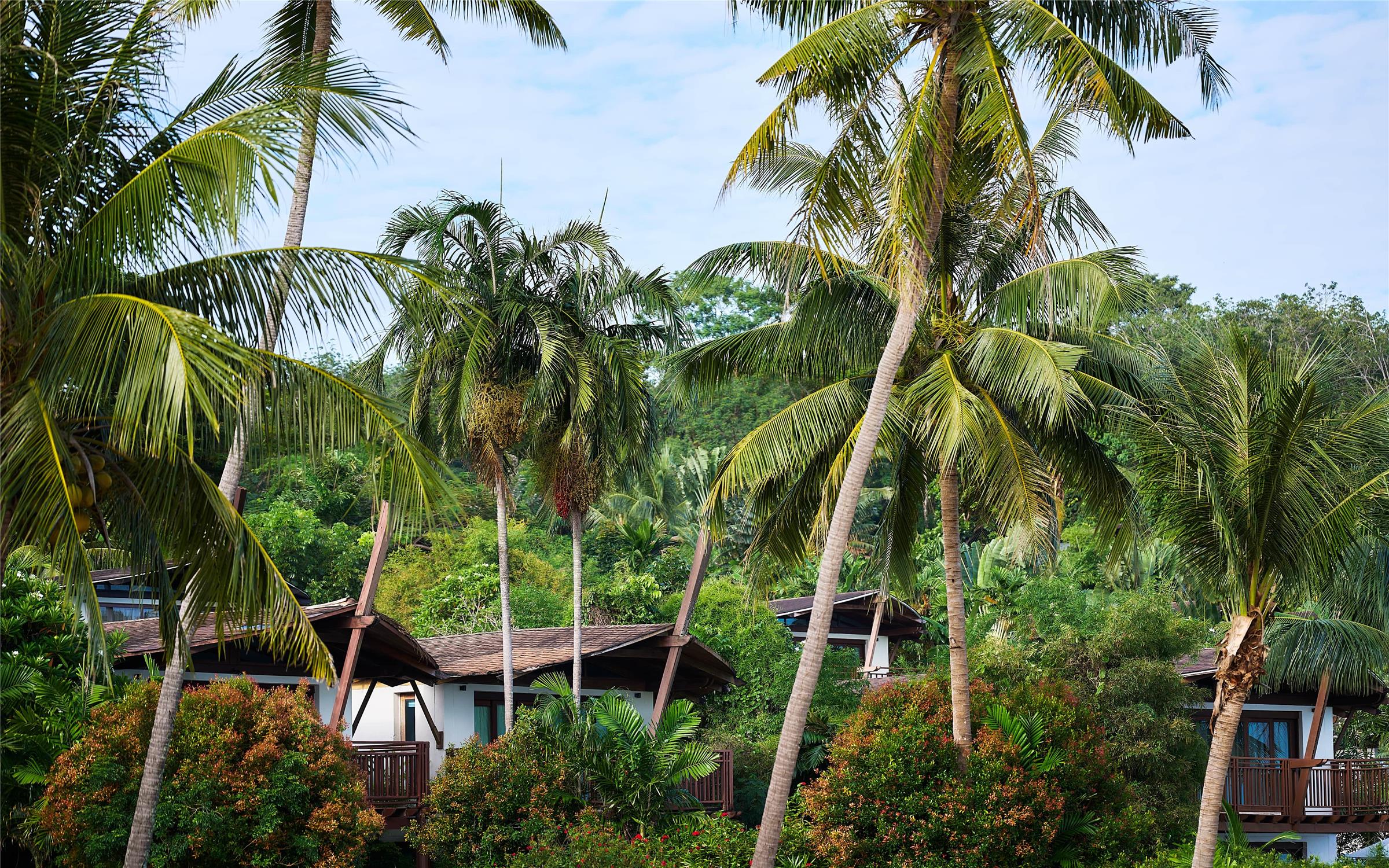 Barcelo Coconut Island 107/107