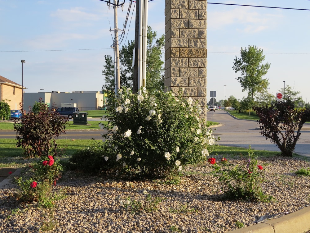 Lexington Inn & Suites Windsor 36/51