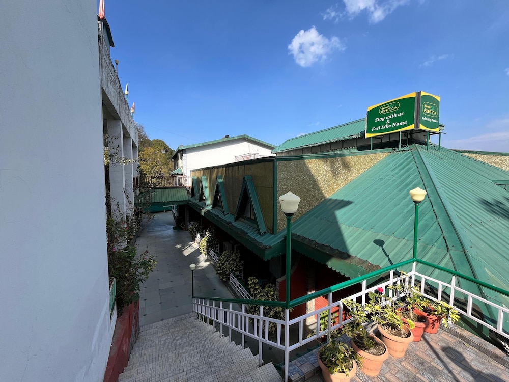 UNA COMFORT KASAULI EXOTICA 1/50