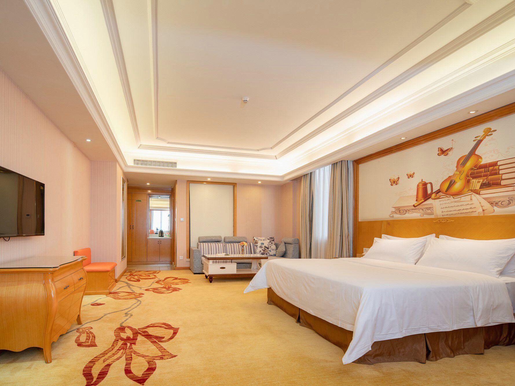 Vienna Hotel (Guangzhou Airport Road Huangshi) 16/60
