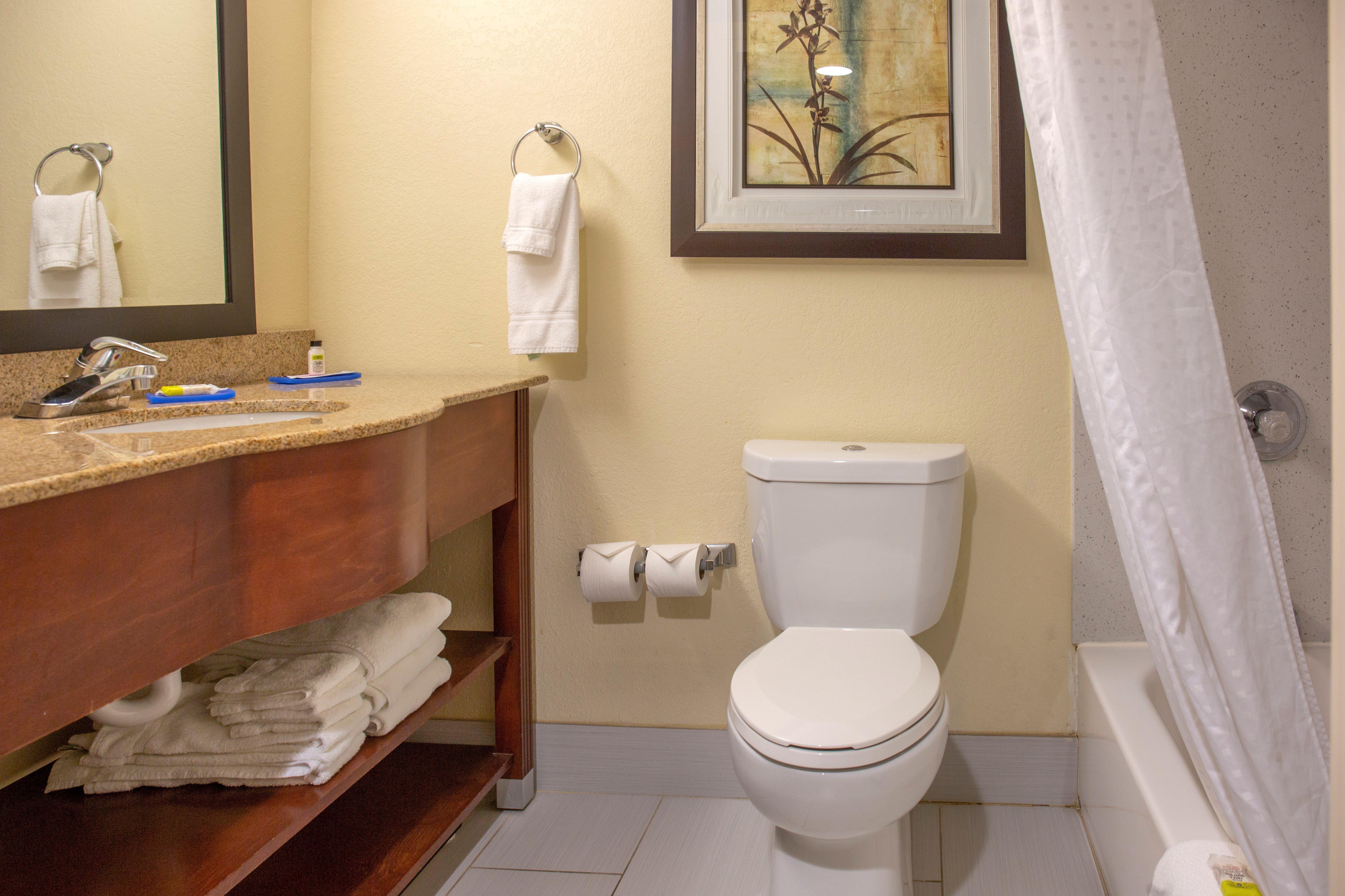 غرفة بسرير مزدوج لذوي الإعاقة، Holiday Inn Express Harrisburg SW - Mechanicsburg 3/3