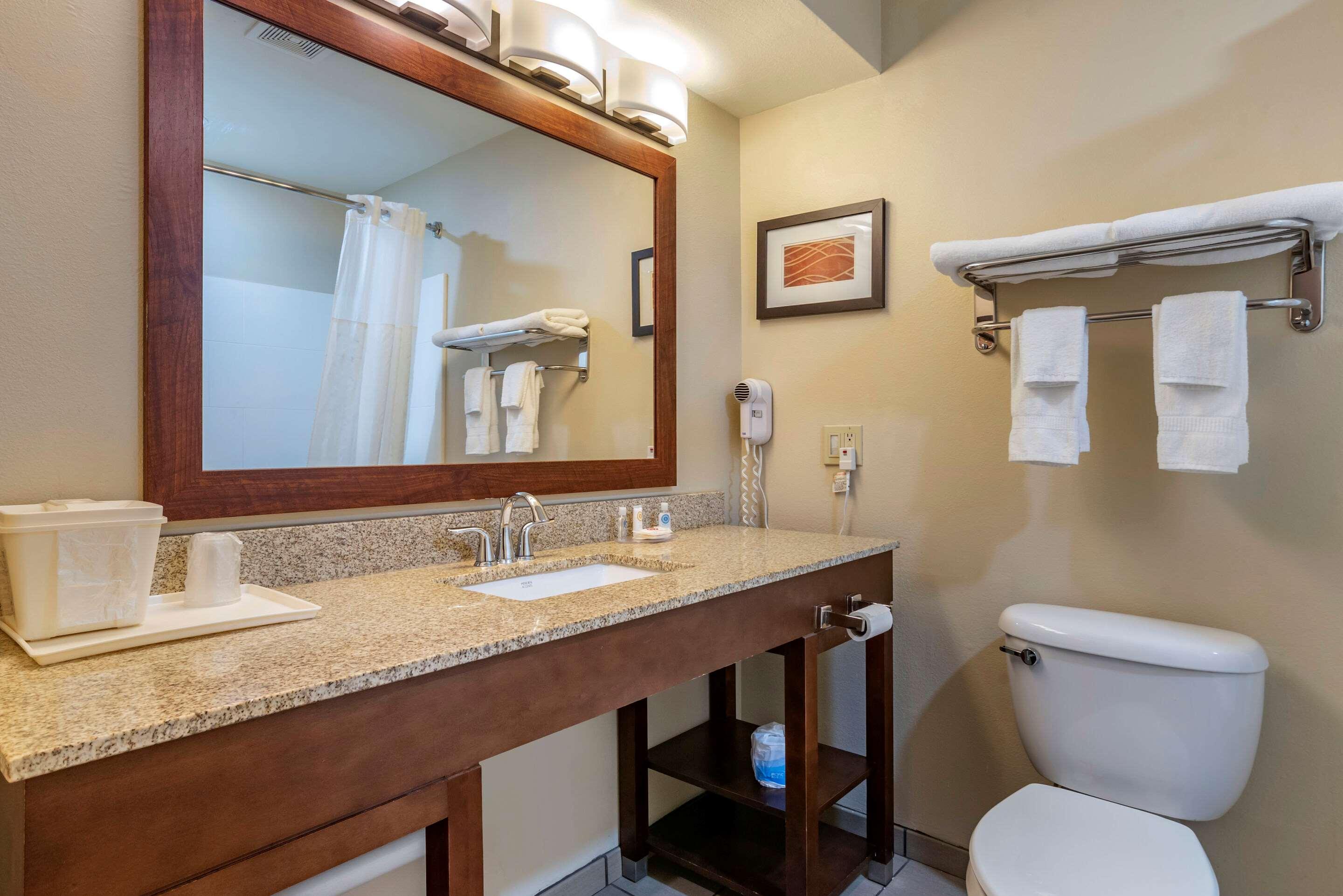 Comfort Inn Amite City 65/68