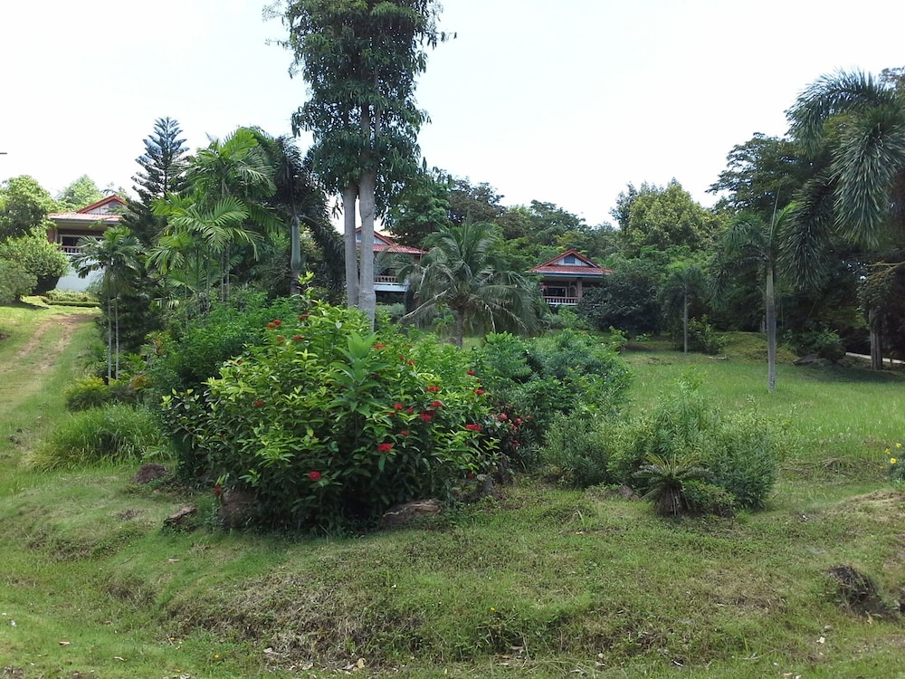 Freedom Estate 31/50