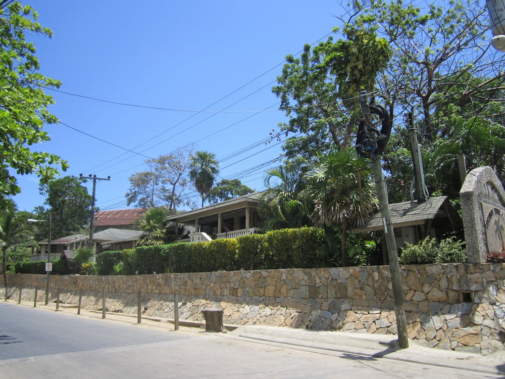 Coconut Tree West End 45/54
