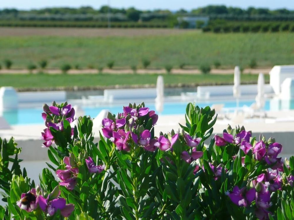 Masseria Bagnara 39/50