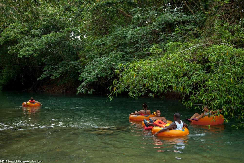 Tanager RainForest Lodge 49/64