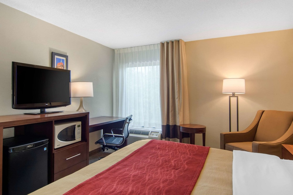 Comfort Inn Chester - Richmond South 13/30